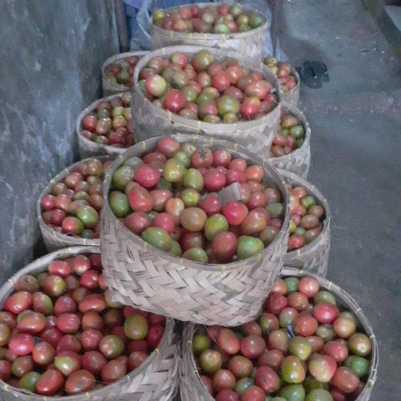 

tomatmarta/tomatapel