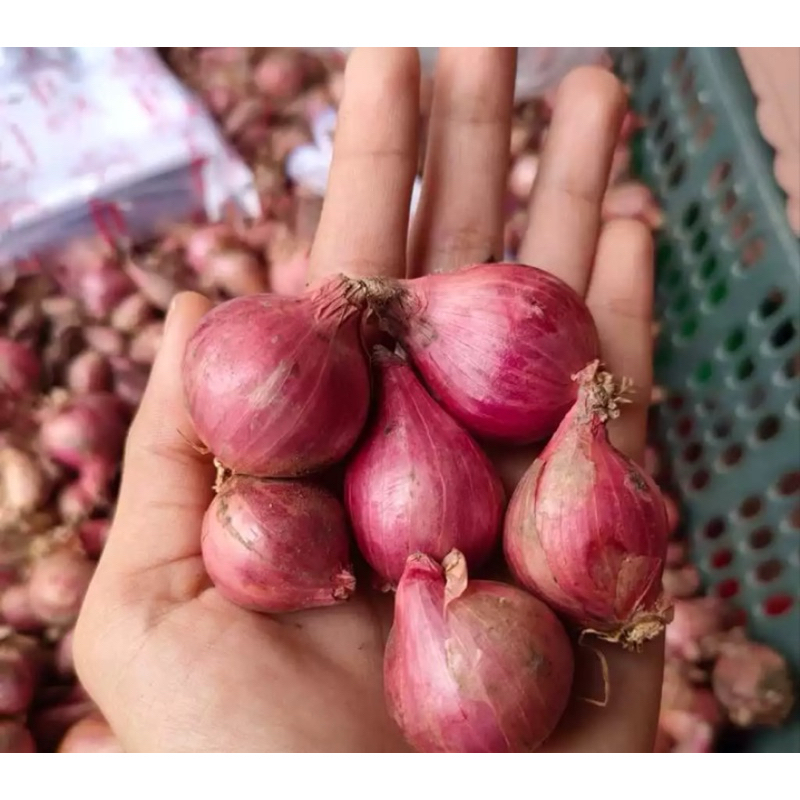 

1KG Bawang Merah