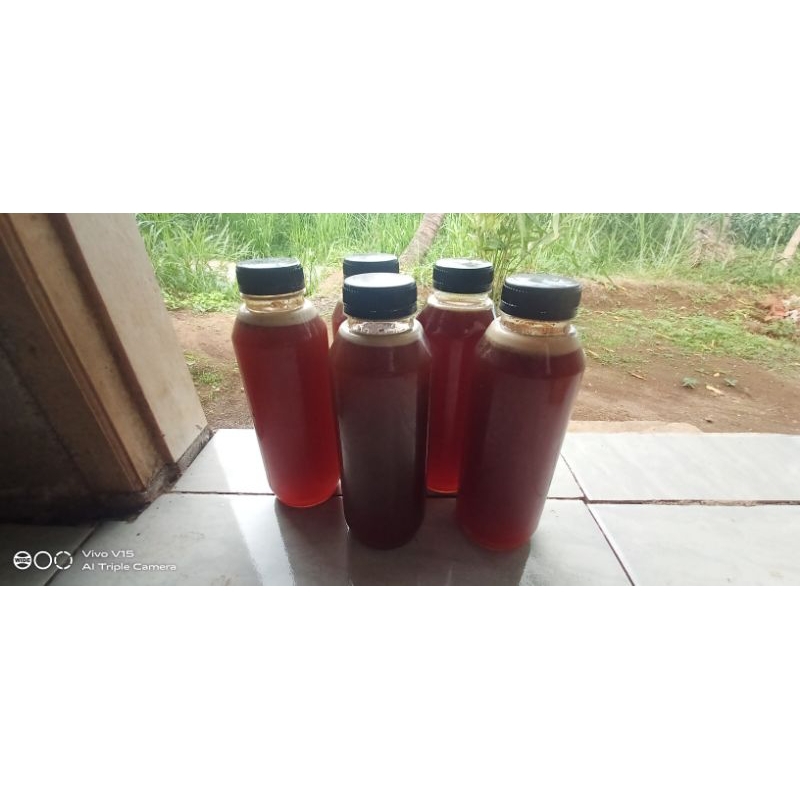 

madu trigona.kelanceng 100 % asli