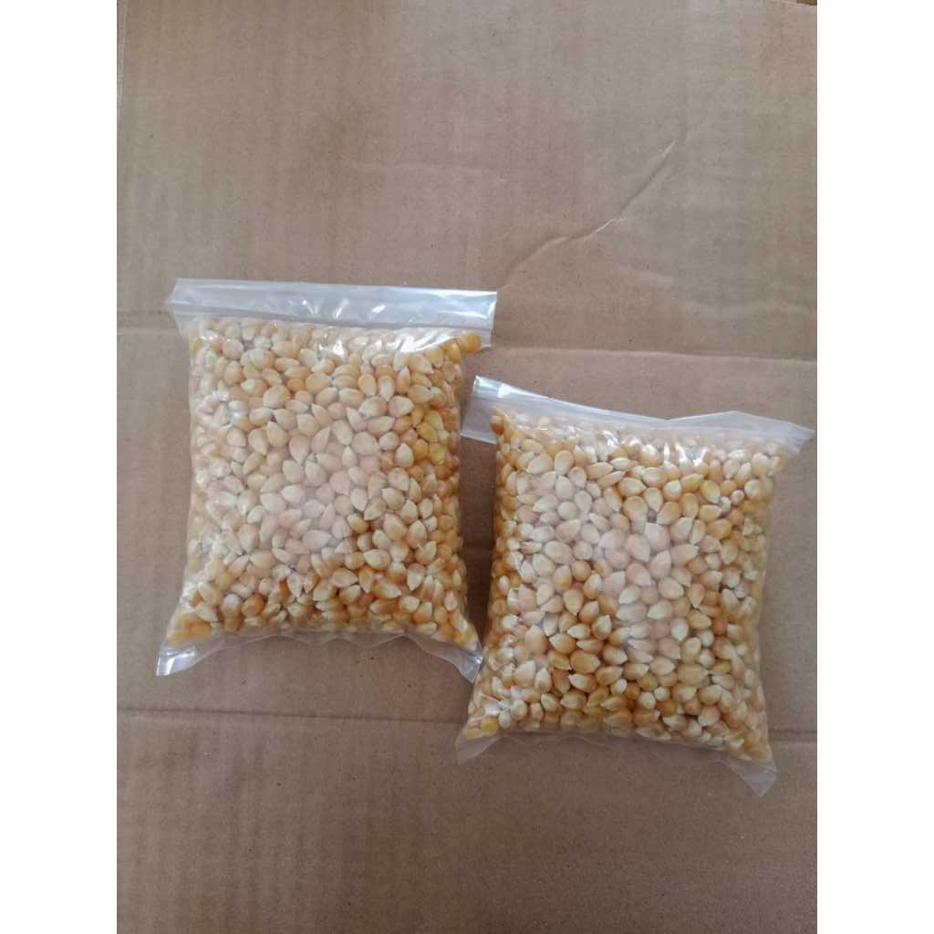 [Kemasan 250gr] Jagung Pop Corn / Jagung Mentah Kering Terjamin Bermutu