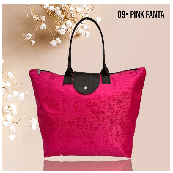 Tas Singapore / Tas Oleh-Oleh Singapore / Tas Lipat Singapore / Souvenir Singapore