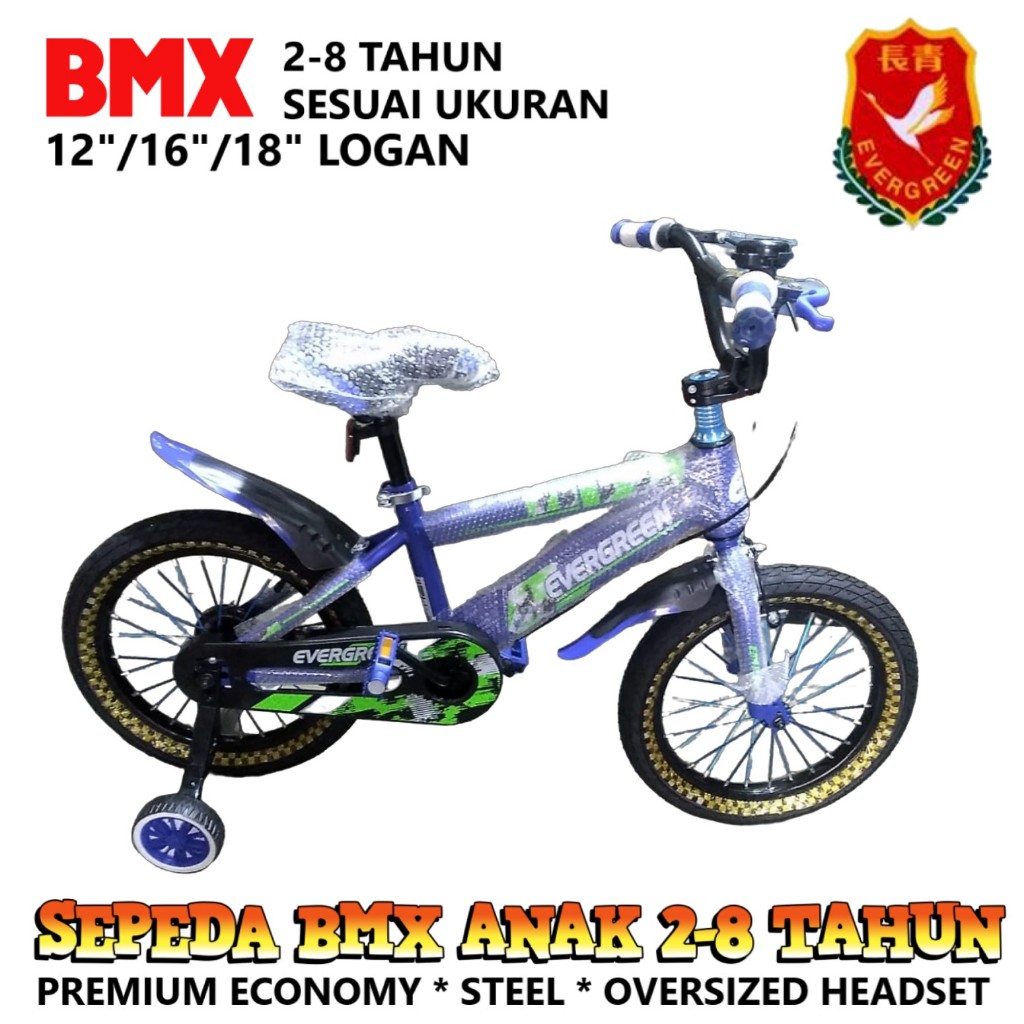 12in Evergreen 1637 Logan BMX 2-4 Tahun Sepeda Anak Laki Laki