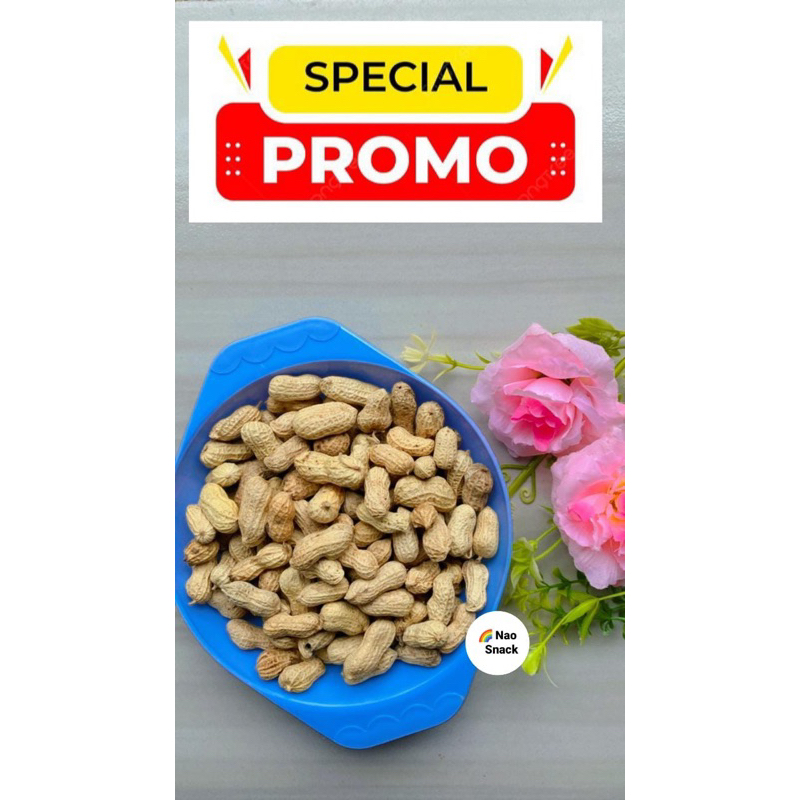 

KACANG KULIT ASIN PREMIUM 250GR/ KACANG KULIT