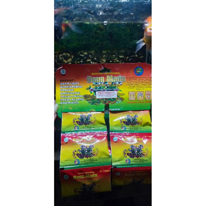 

daun madu orijinal,asam urat, kolesterol,stroke