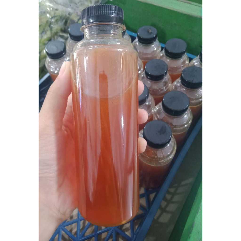 

madu hutan ujung kulon
