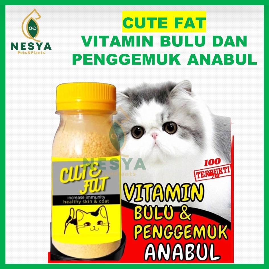 CUTE FAT Vitamin Penggemuk dan Bulu Kucing Lysine Penumbuh Bulu Kucing