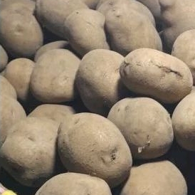 

Kentang dieng kuning besar 1kg