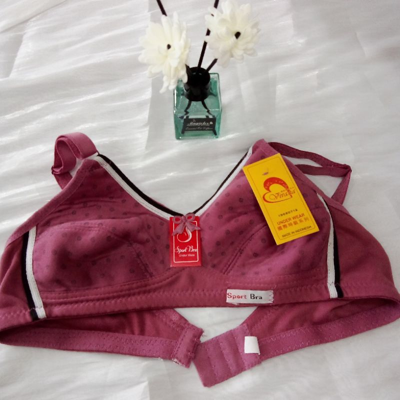 bra sport sd smp karakter