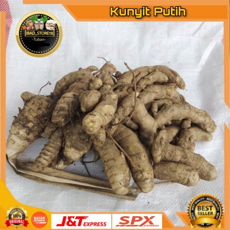 

Kunyit Putih 500gr / Temu Putih