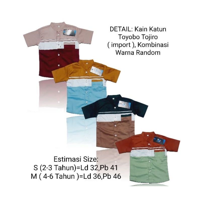 Atasan Anak Laki Laki Casual|Baju Kemeja Koko Lengan Pendek Anak Laki Laki Usia 2-6 Tahun|Baju Anak 