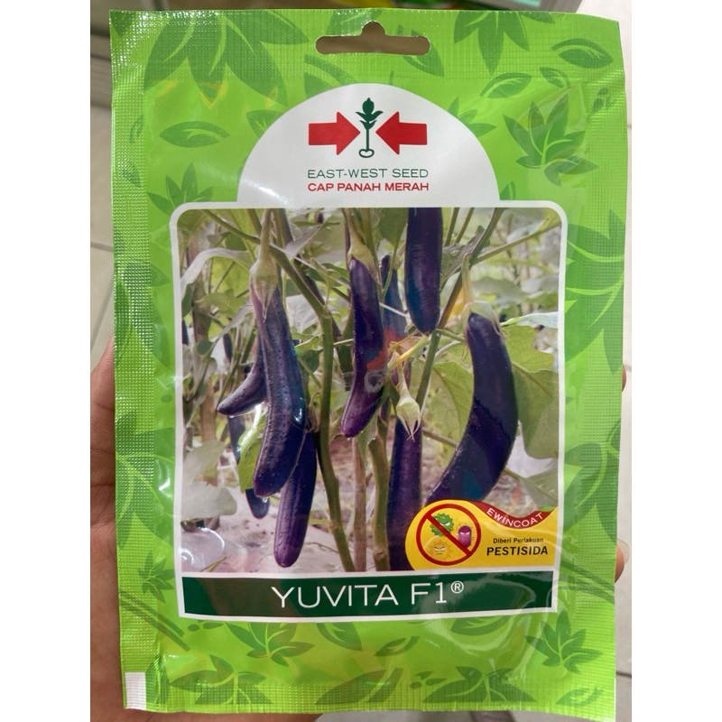 terong YUVITA F1 400btr