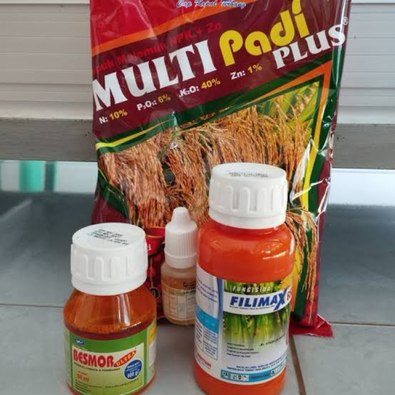 Boom Padi Kapal Terbang