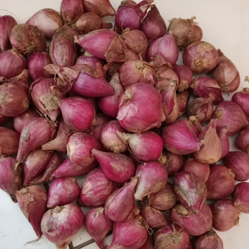 

Bawang Merah Kering besar