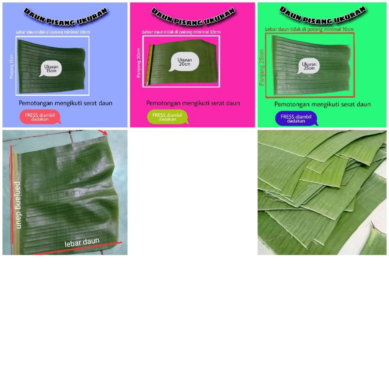 

daun pisang ukuran