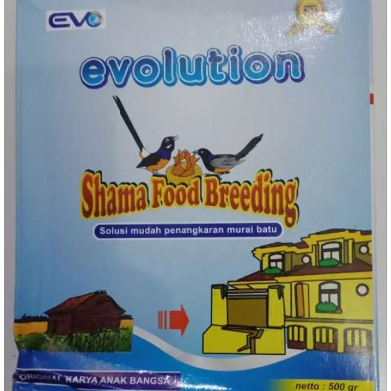 EVO BREEDING KASAR VOER EVOLUTION BREEDING KASAR VOER UNTUK INDUKAN MURAI BATU