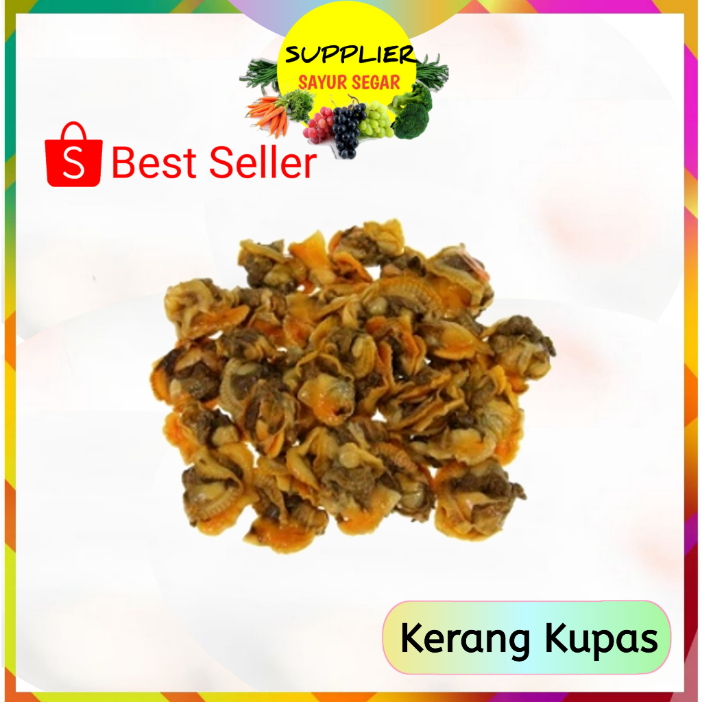 

Kerang Kupas Fresh Palembang