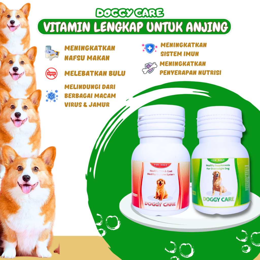 DOGGY CARE VITAMIN ANJING  BULU ANJING  NAFSU MAKAN PENGGEMUK ANJING PENUMBUH BULU ANJING OBAT RONTO