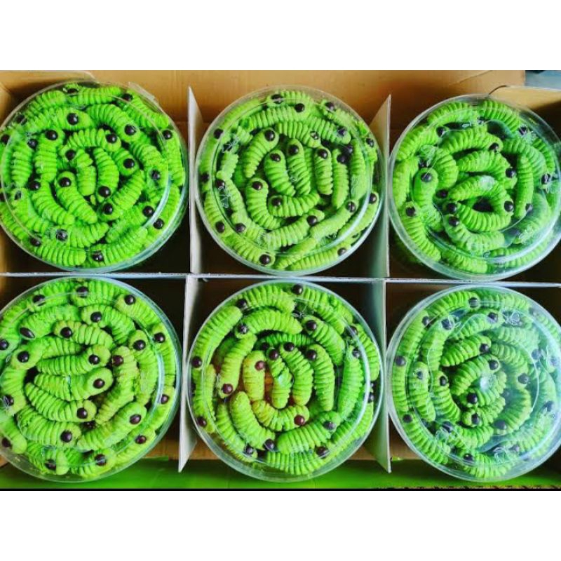 

kue kering ulat hijau 250gr murah