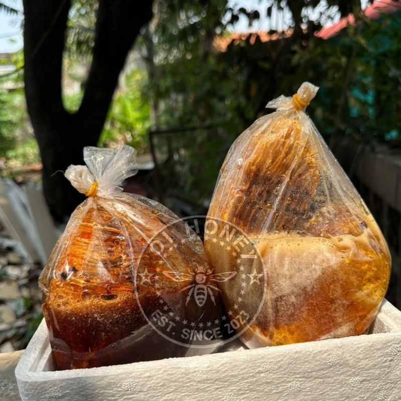 

Sarang madu hutan sialang original asli 100%