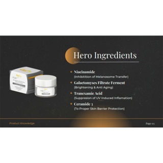 Reglow Intensive Whitening Night Cream BRIGHTENING + ANTI AGING + REPAIRING Sudah BPOM & Halal MUI