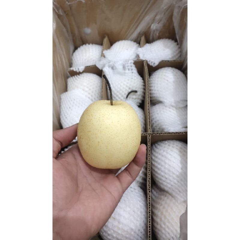 

PEAR CENTURY (PACK +- 1 kg)