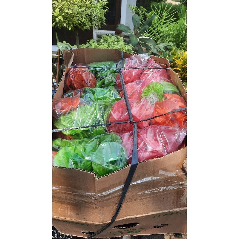 

kembang ros, opak kembang ros kerupuk kembang ros betawi