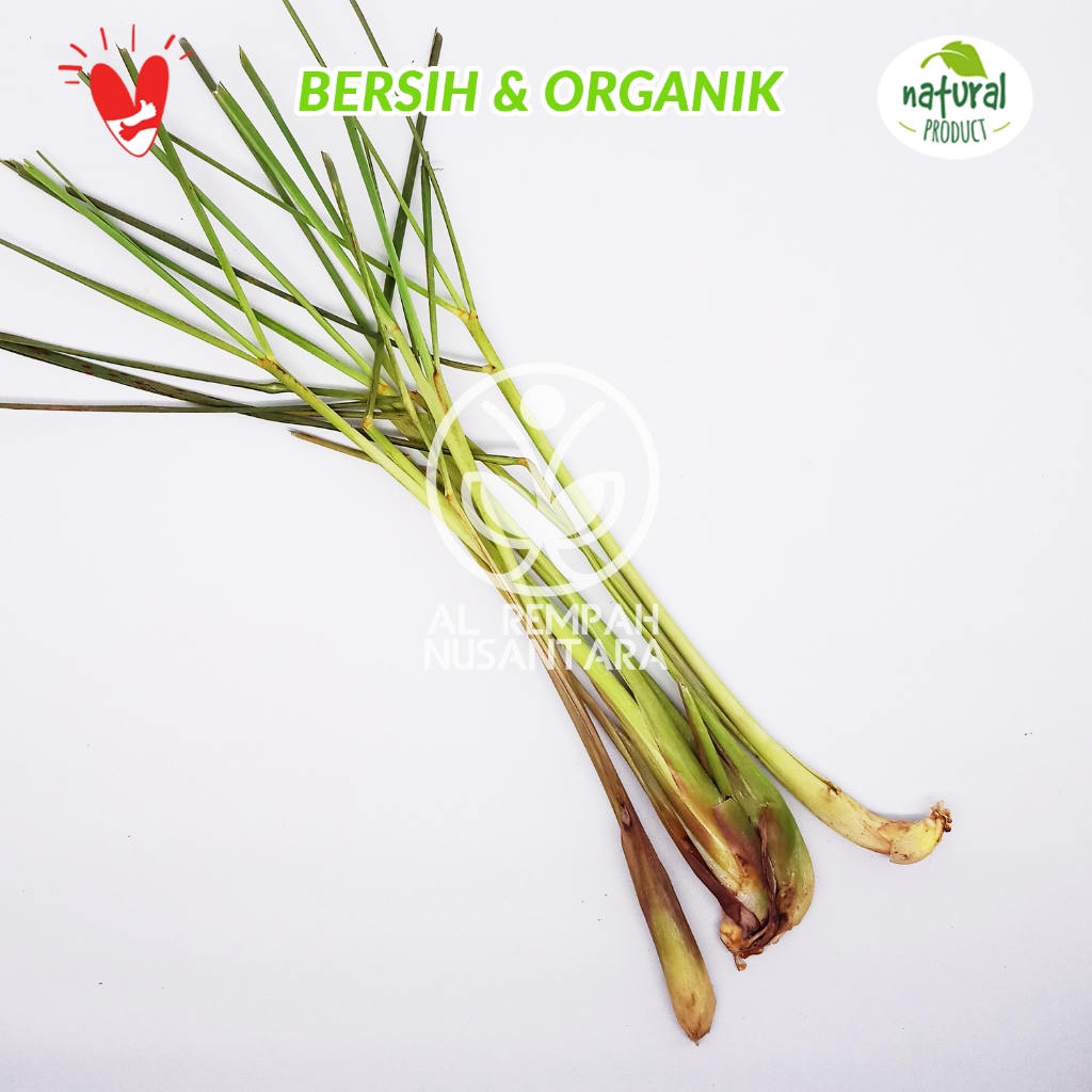 

Sereh atau Serai Segar 1kg Grade A - Lebih Wangi