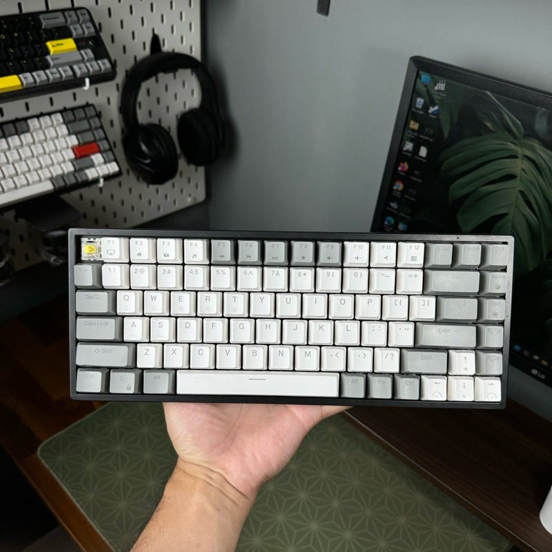 [Second] Rexus Daxa M84 Pro Wireless