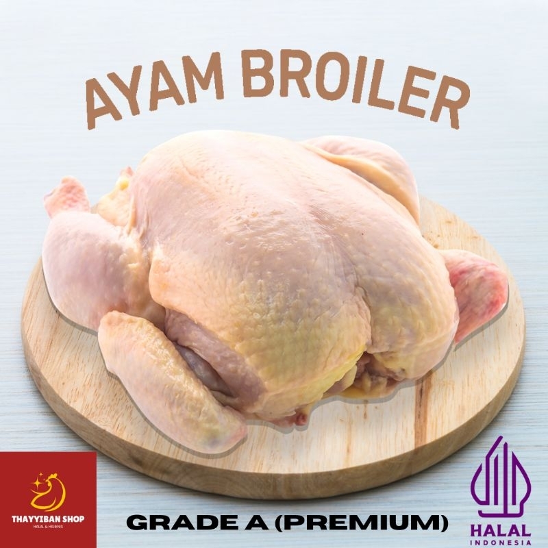 

AYAM KARKAS BROILER / AYAM POTONG UTUH (QTY : 1 EKOR) 0.7 - 1.2 KG