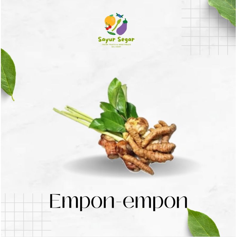 

Rempah / Empon-empon/ Jahe / Lengkuas / Sereh / Kunyit / Kencur / Sayur Segar Surabaya