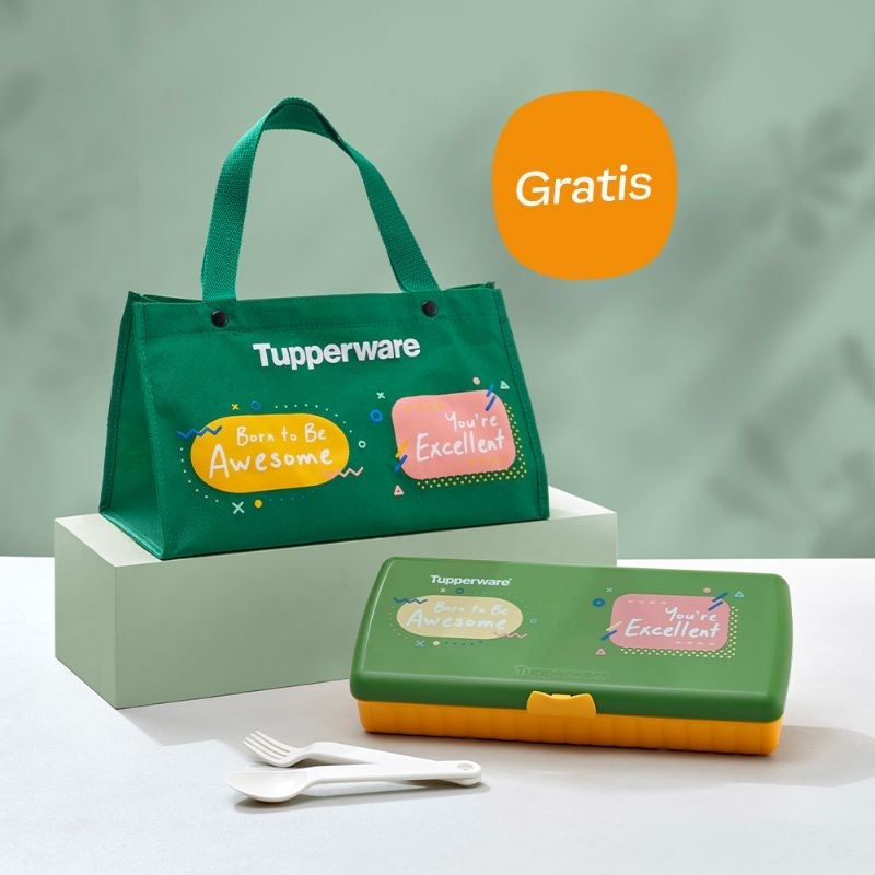 Fancy keeper Bontot makan,lunch box TUPPERWARE