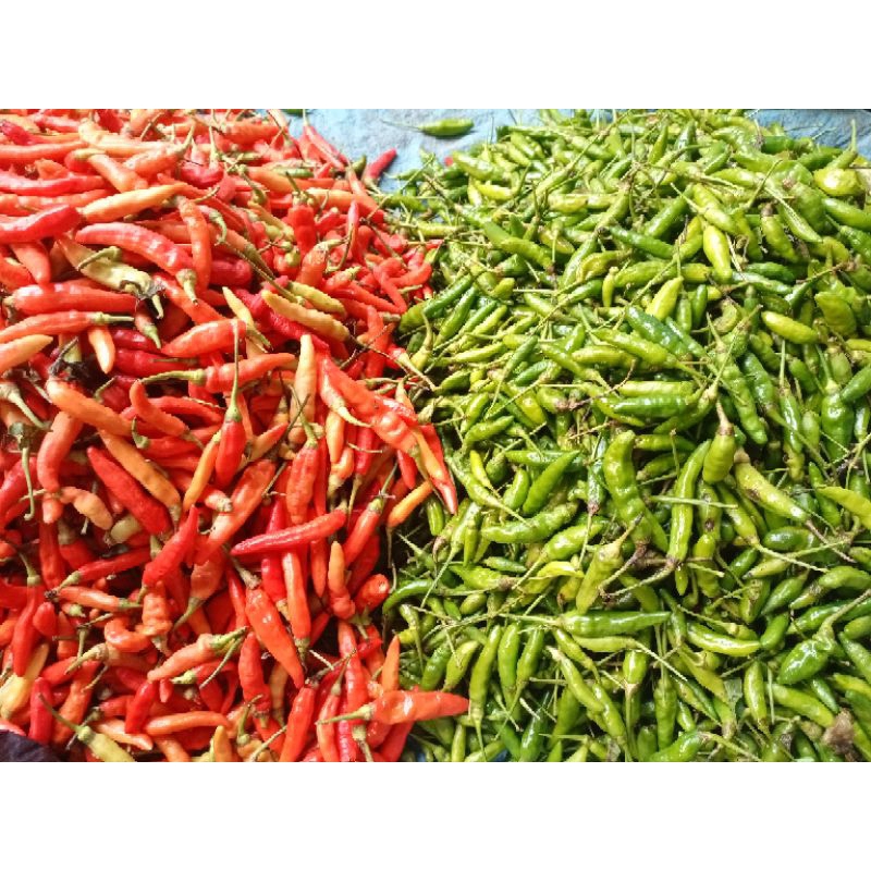 

Cabe Rawit Hijau 500 gram
