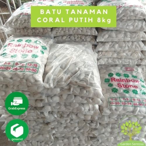 Batu Hias Coral Putih 1plastik Besar 8kg