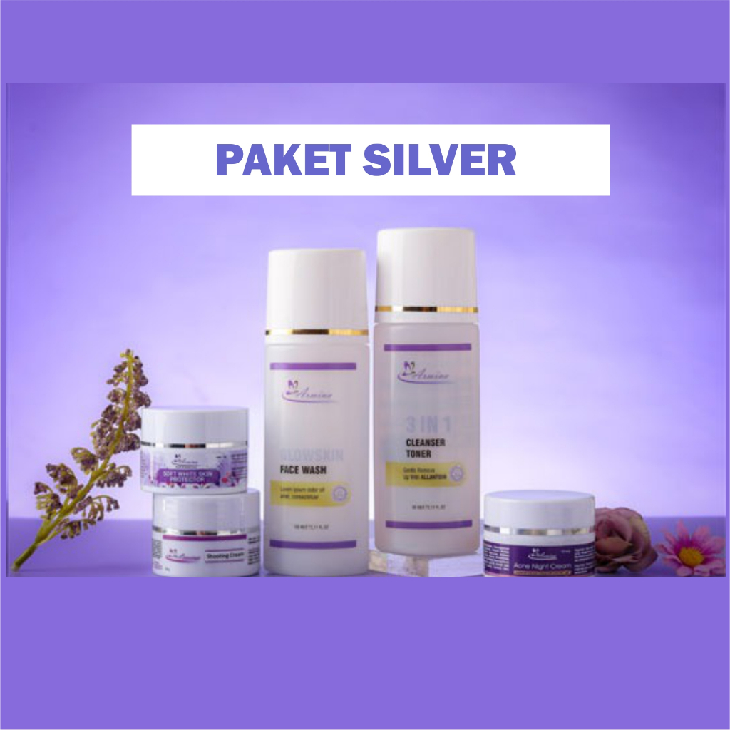 ARMINA Paket Silver Skincare 1 Paket Skincare Acne Skincare Glowing Skincare Whitening