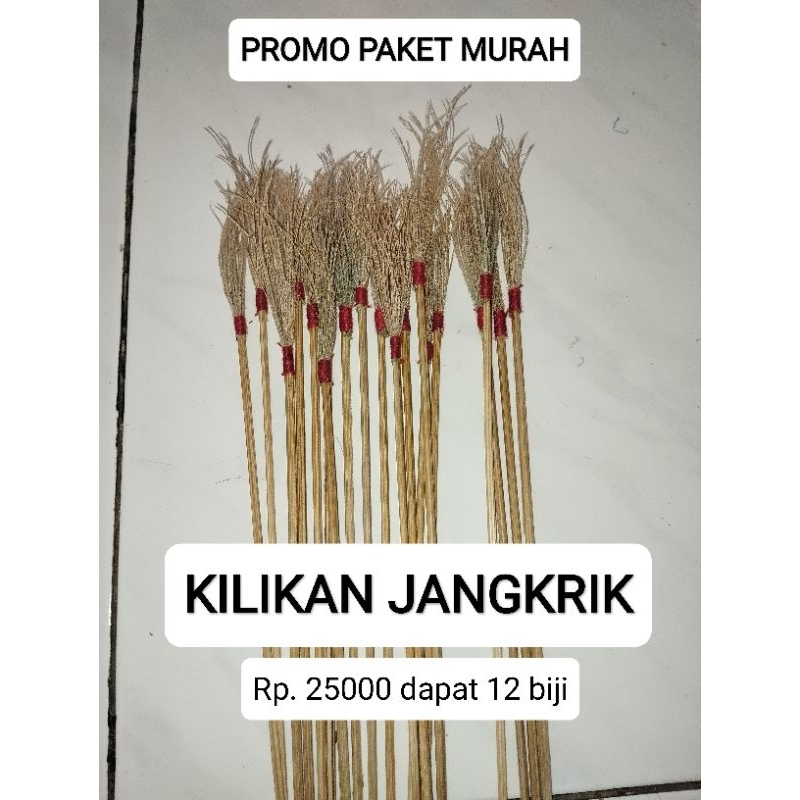 promo murah meriah 12 kili jangkrik