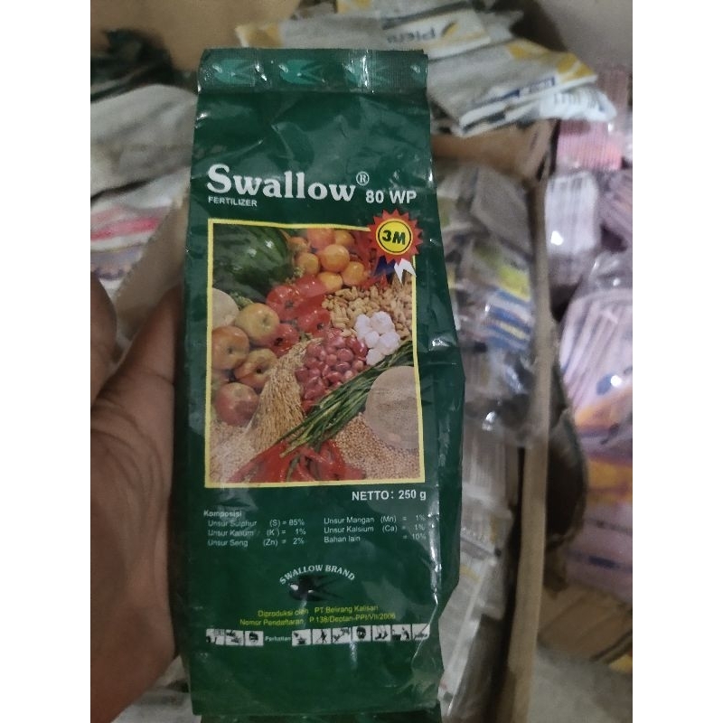 SWALLOW80WP