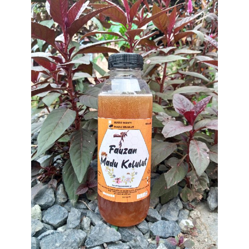 

Madu kelulut /klanceng/teweul/galo galo/kele 500 ml