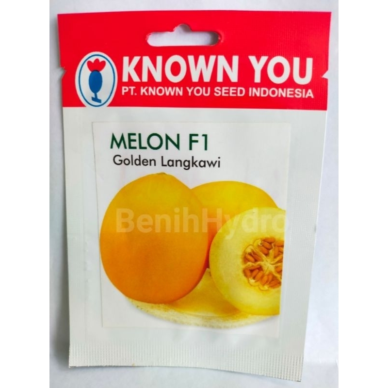 Benih Melon Golden Langkawi