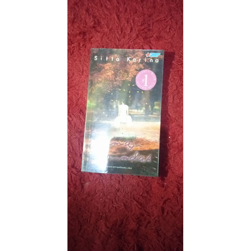 ( preloved  ) buku imaji terindah sitta karina original