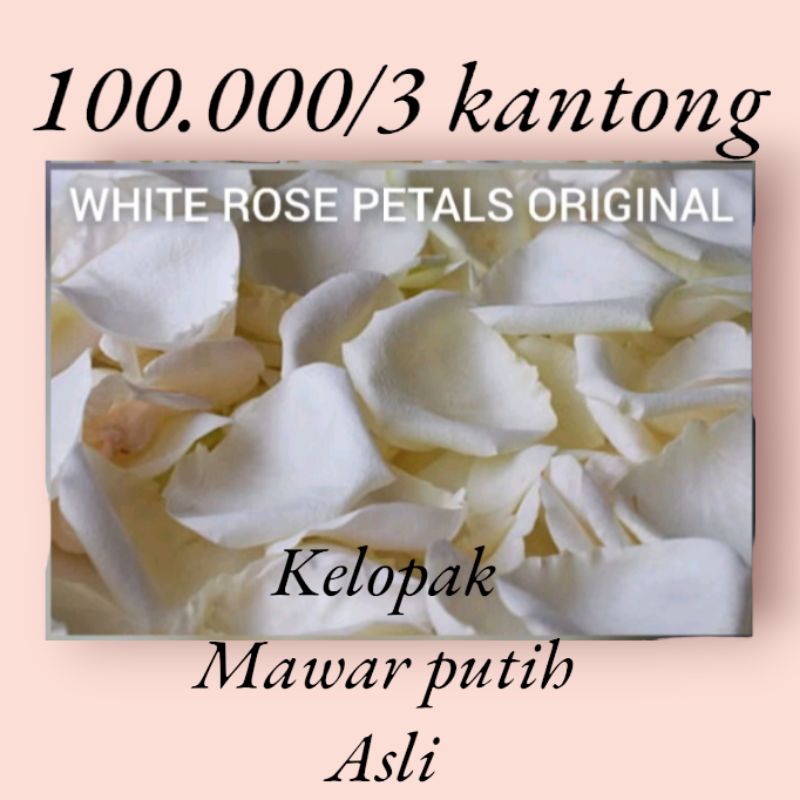 kelopak mawar putih asli white rose petals termurah