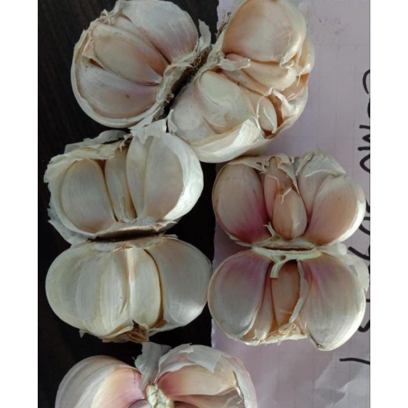 

bawang putih super