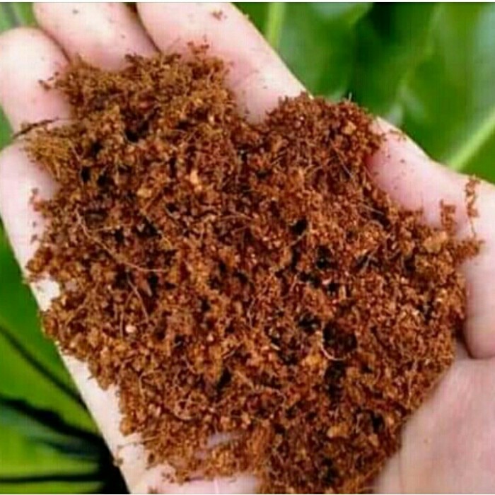 cocopeat karung 1kg microgreens- media tanam organik - cocopeat halus
