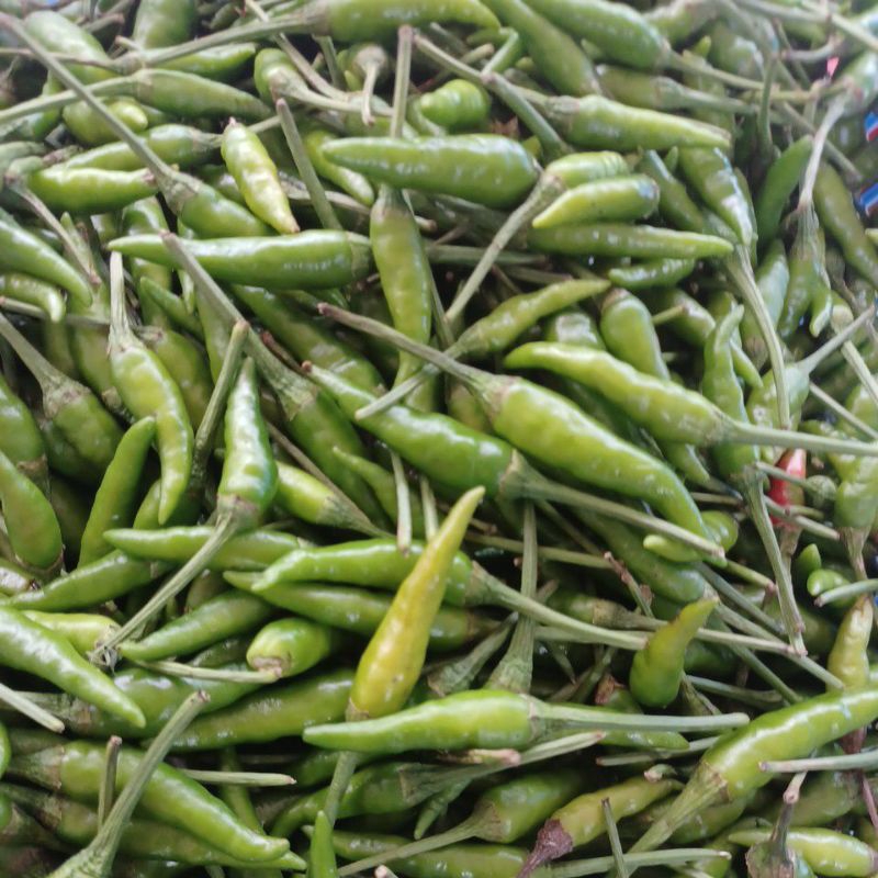 

Lombok Rawit Hijau/Lombok acar