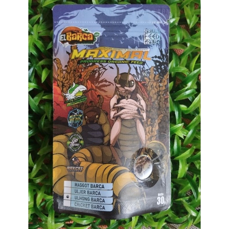 ULHONG BARCA / ULAT HONGKONG BARCA PAKAN IKAN CHANNA PROGRESS/BOOSTER CHANNA KEMASAN POUCH 2024