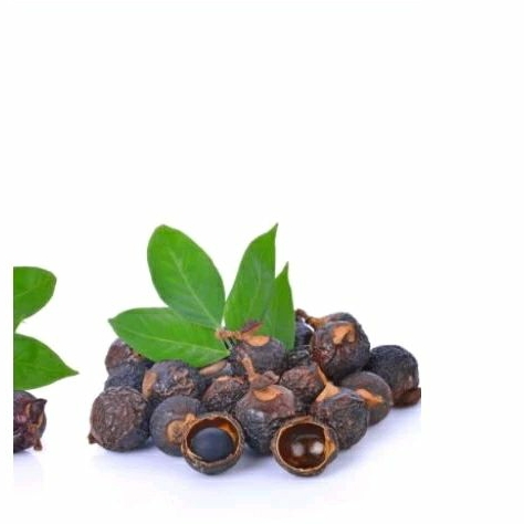 1kg lerak / buah biji lerak / sabun alami / klerek sabun sensitif / sabun lerak