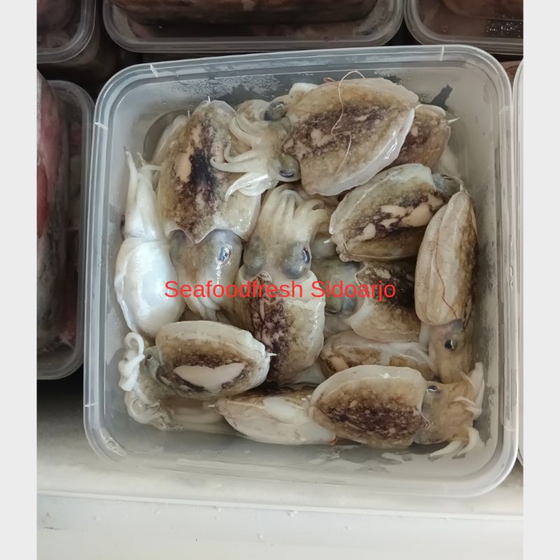 CUMI BEKUTAK 1kg