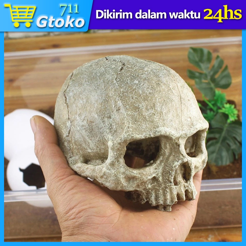 Hiasan Aquarium Ornamen Tengkorak Kepala Dekorasi Aquascape