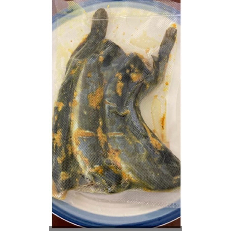 

lele dan nila siap goreng