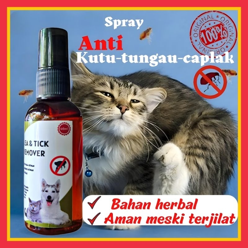 Obat Kutu Kucing Spray Aman Terjilat - Flea & TICK REMOVER