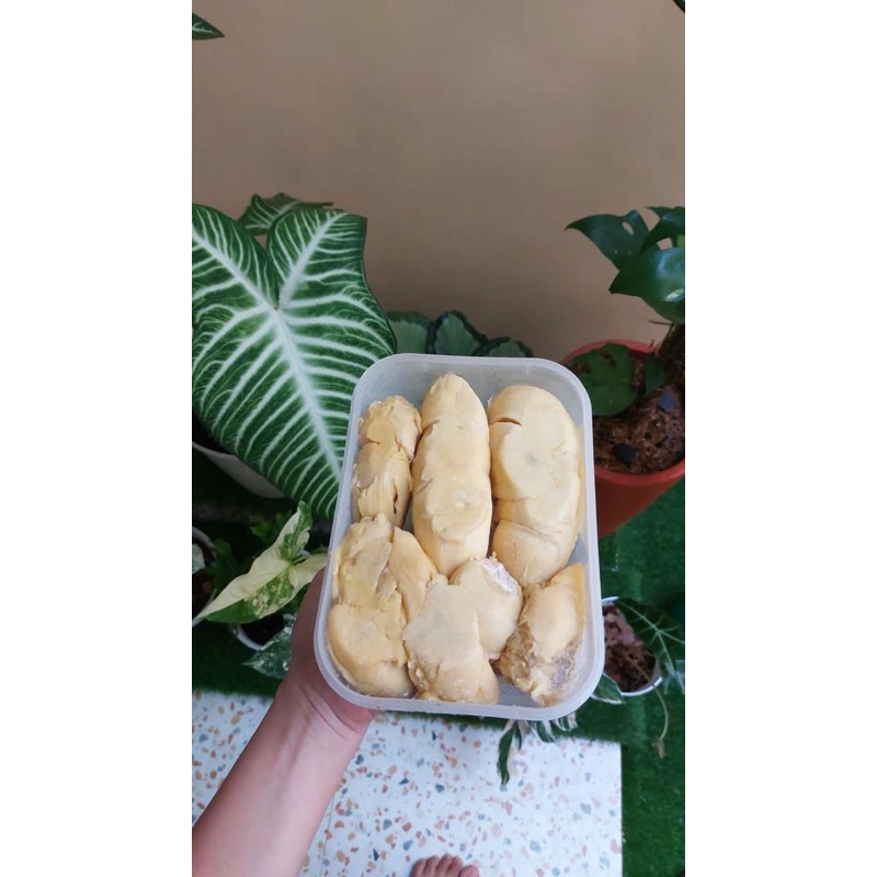 

Durian Sidikalang